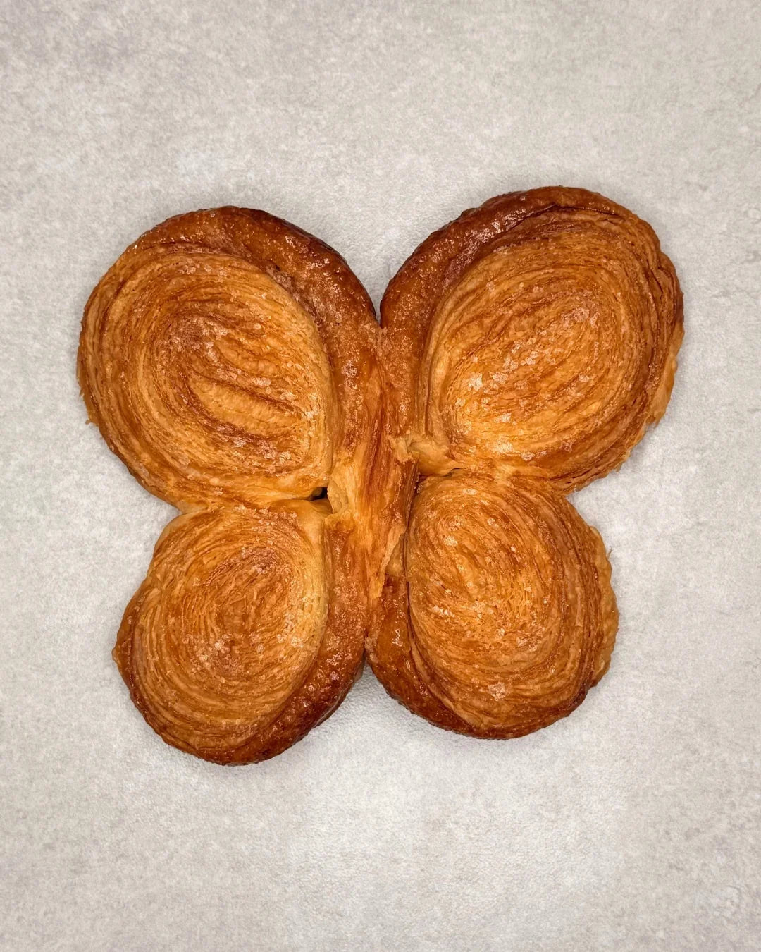 Palmier Papillon - Classiques - Fiston Brussels