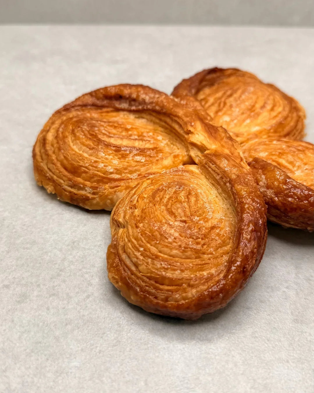 Palmier Papillon - Classiques - Fiston Brussels