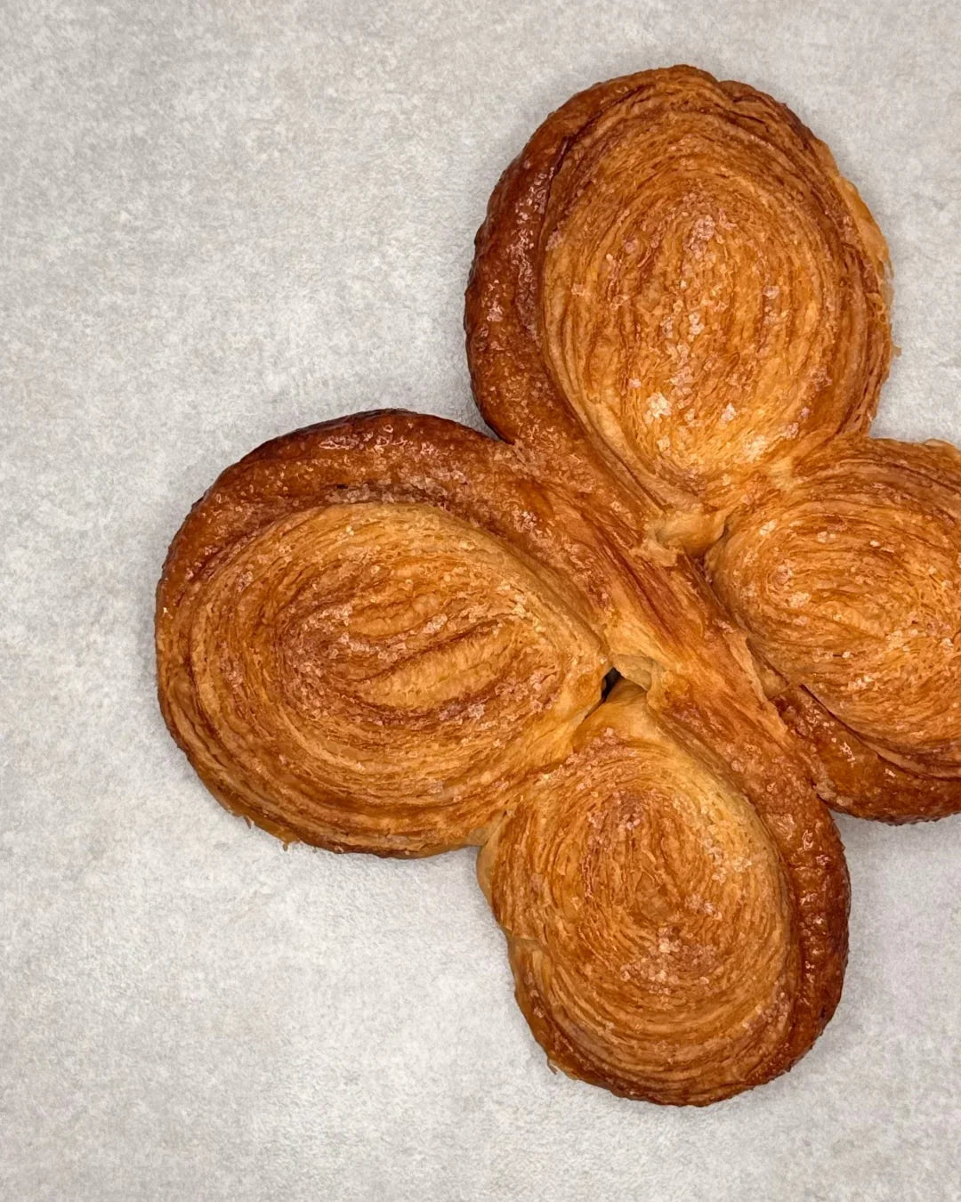Palmier Papillon - Classiques - Fiston Brussels