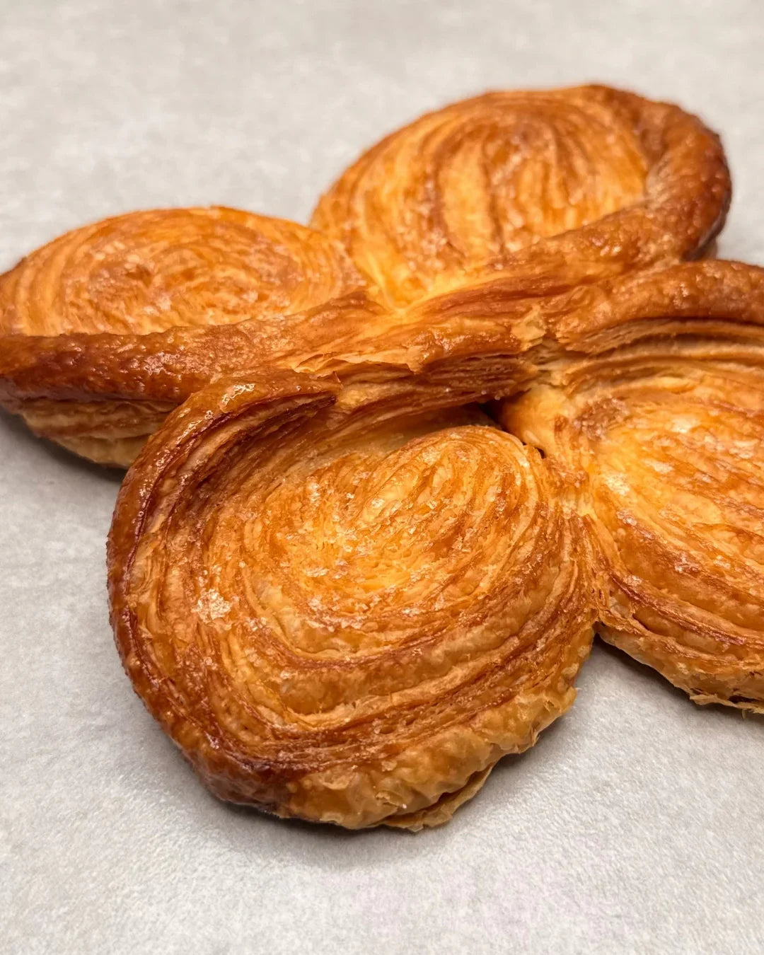 Palmier Papillon - Classiques - Fiston Brussels
