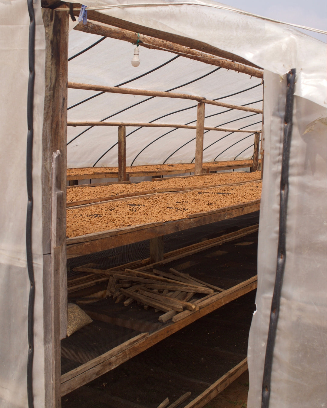 Peru La Libertad - Café - Fiston Brussels